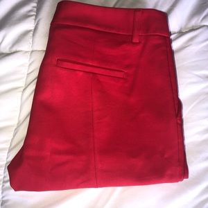 Express columnist pant